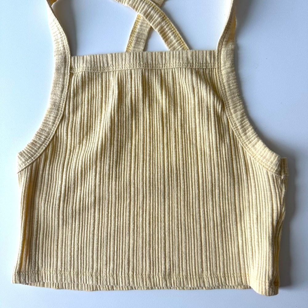 American eagle crop top
